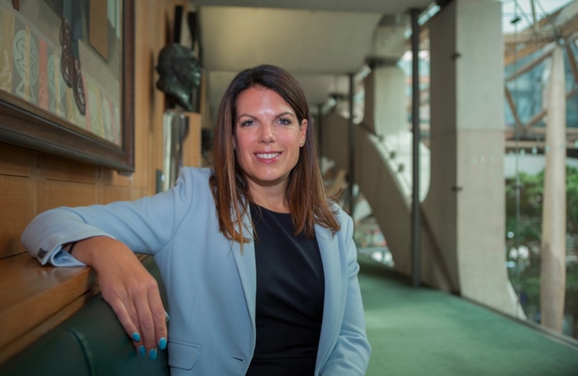 Caroline Nokes Message From Westminister Romsey And Southampton North 